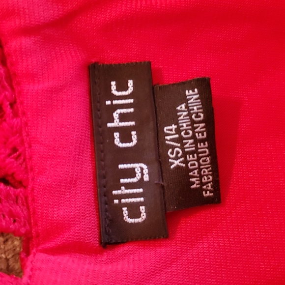 CITY CHIC Dream Of Lace Dress Red Scarlet Dress - Picture 4 of 9